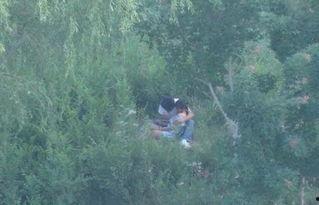 国产树林野战在线播放